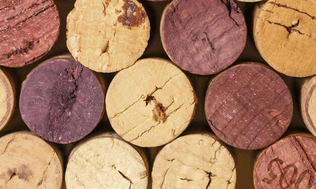 Portwein – Der Klassiker  der Weinwelt